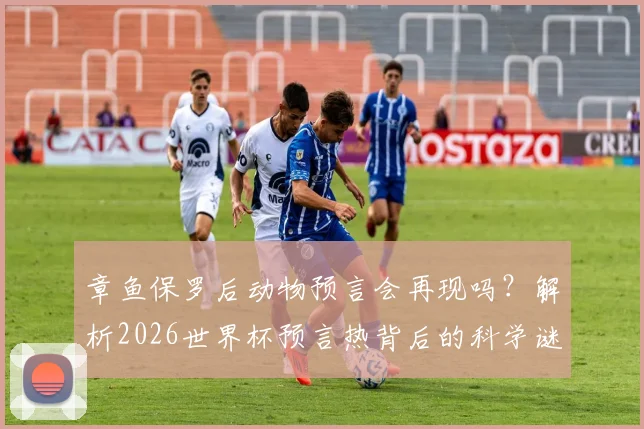 章鱼保罗后动物预言会再现吗？解析2026世界杯预言热背后的科学谜团与未解传说